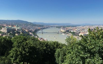 BP and Danube view from Gelert Hill