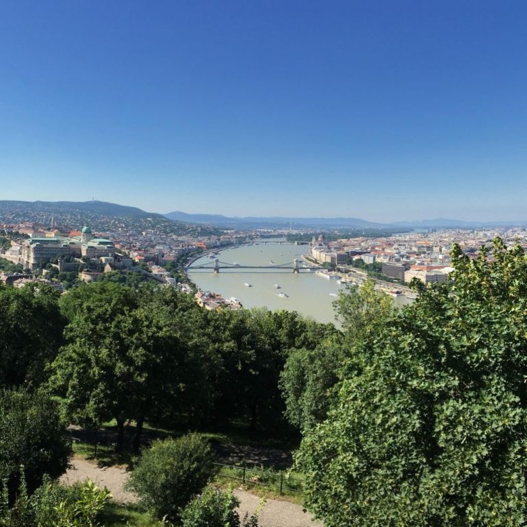 BP and Danube view from Gelert Hill